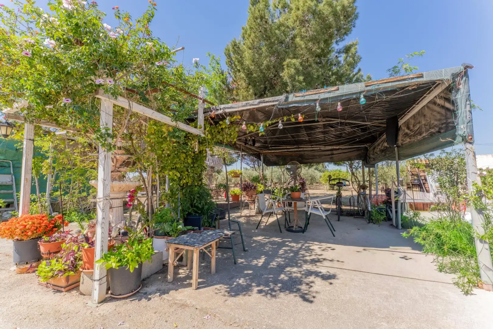 Terraza de Casa o chalet en venta en Elche / Elx con Aire acondicionado, Terraza y Piscina