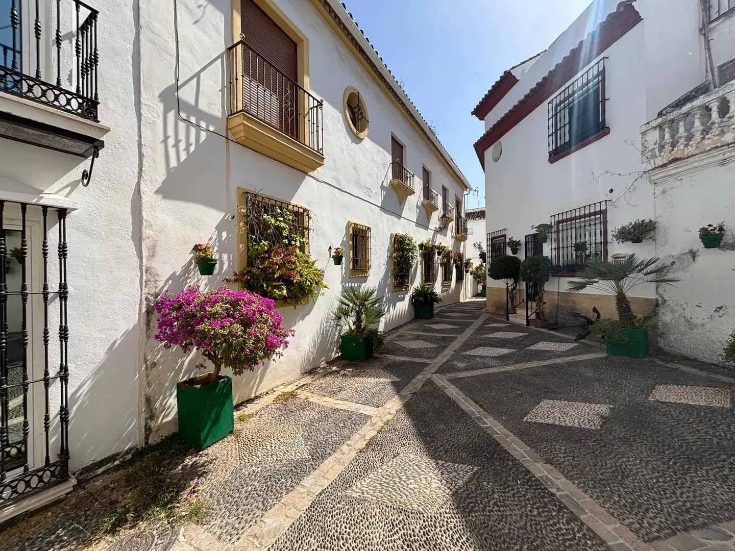 Locale commerciale in affitto a Estepona Pueblo, imagen 6
