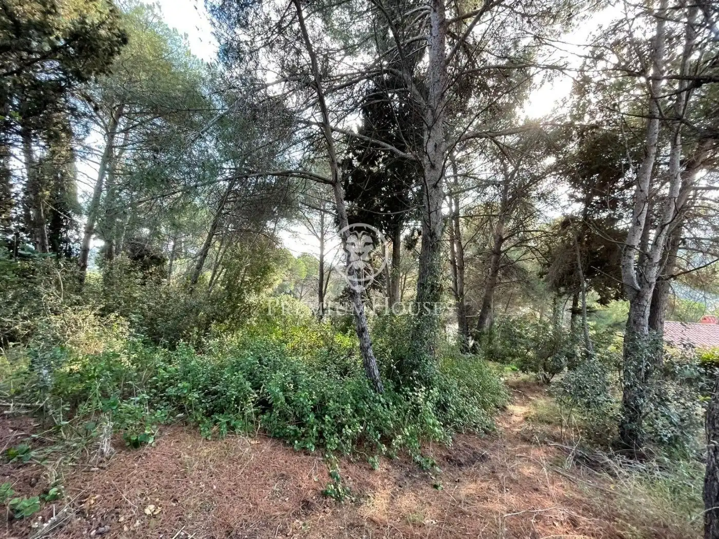 Wohnbaugrundstück zum Verkauf in Arenys de Munt, imagen 18