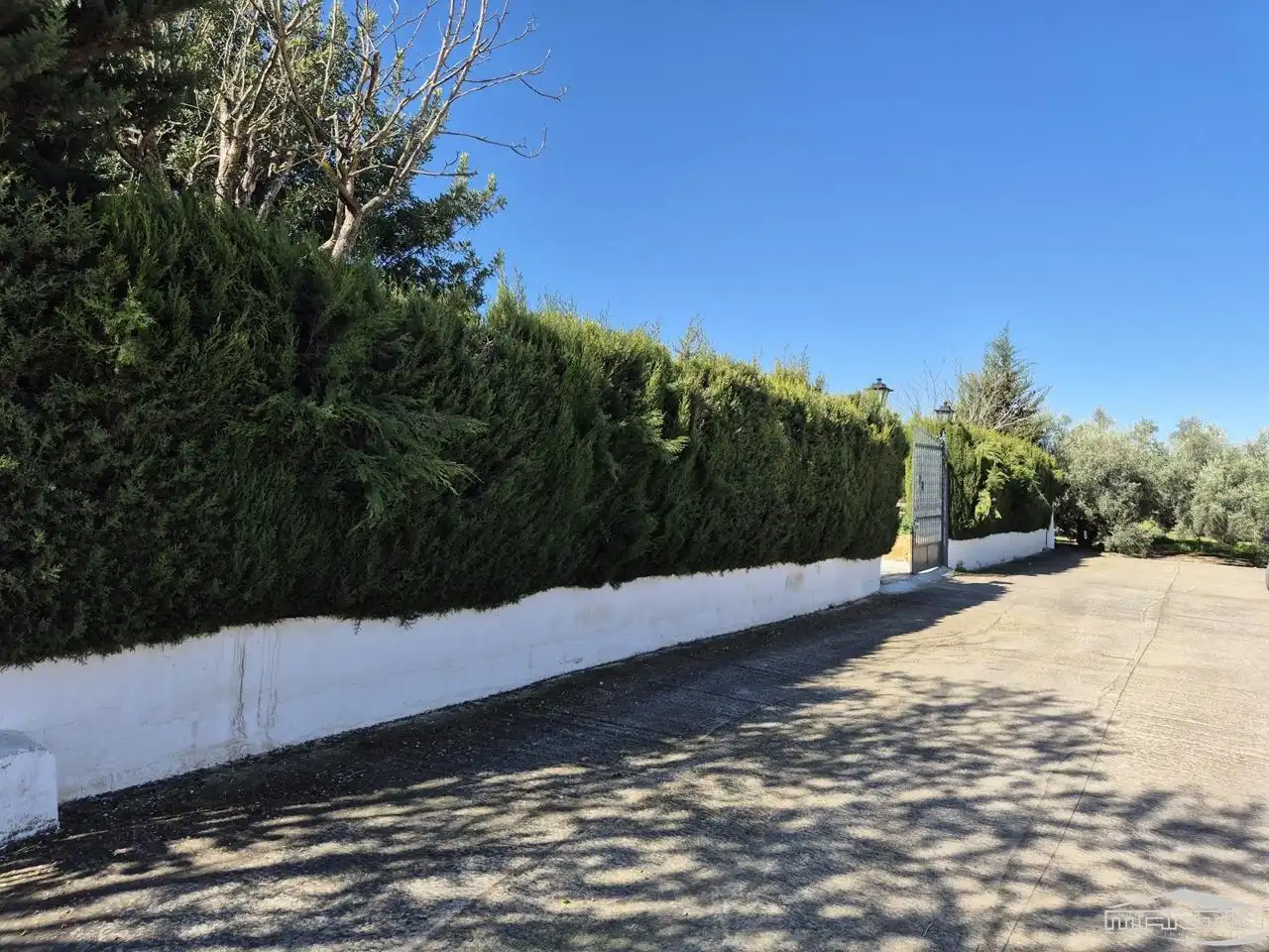 Vista exterior de Casa o chalet en venta en Lucena con Terraza, Trastero y Piscina