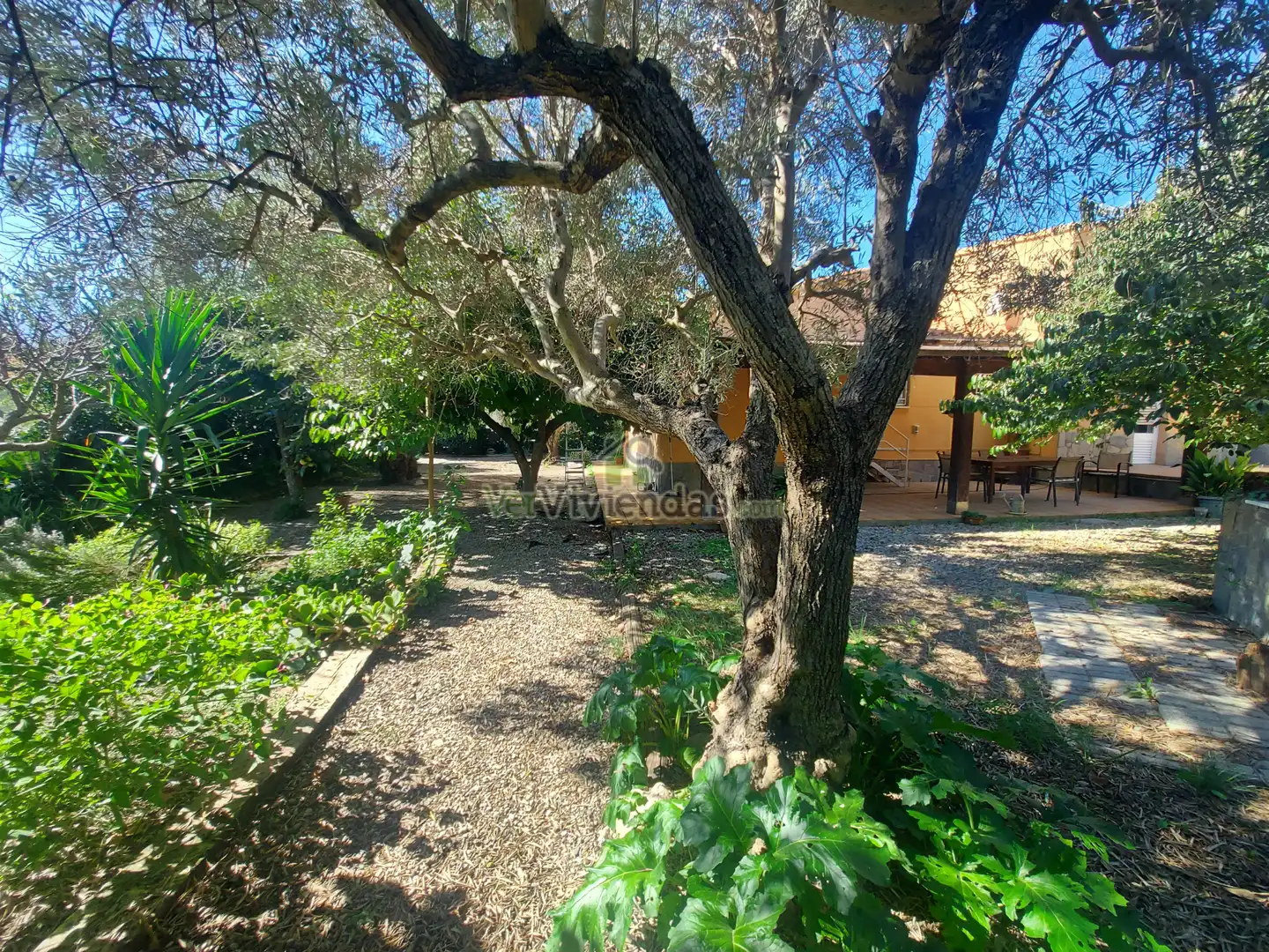 Casa o xalet en venda a Carrer Girona, 742, Masquefa