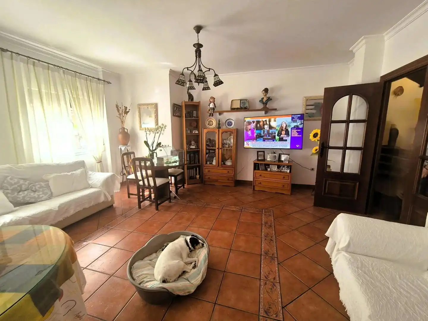 House with garden for sale in Loja, imagen 5