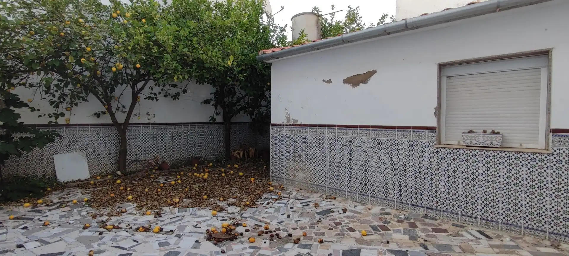 Garden of Flat for sale in Pozoblanco