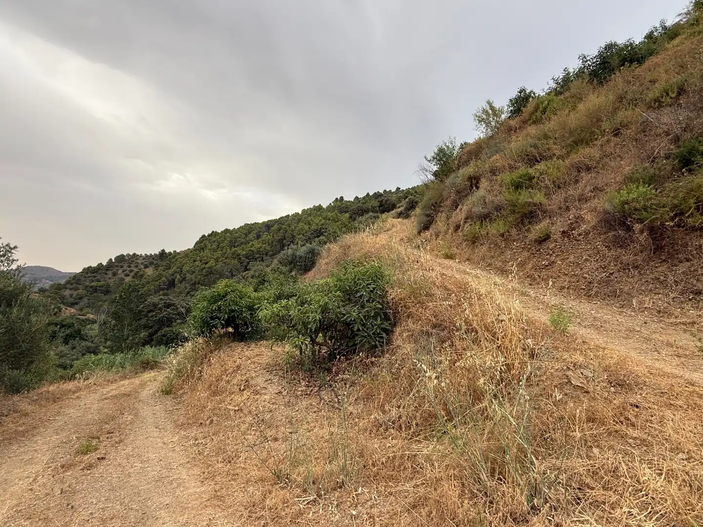 Terreni e lotti in vendita a Camino Río Seco 9, imagen 9