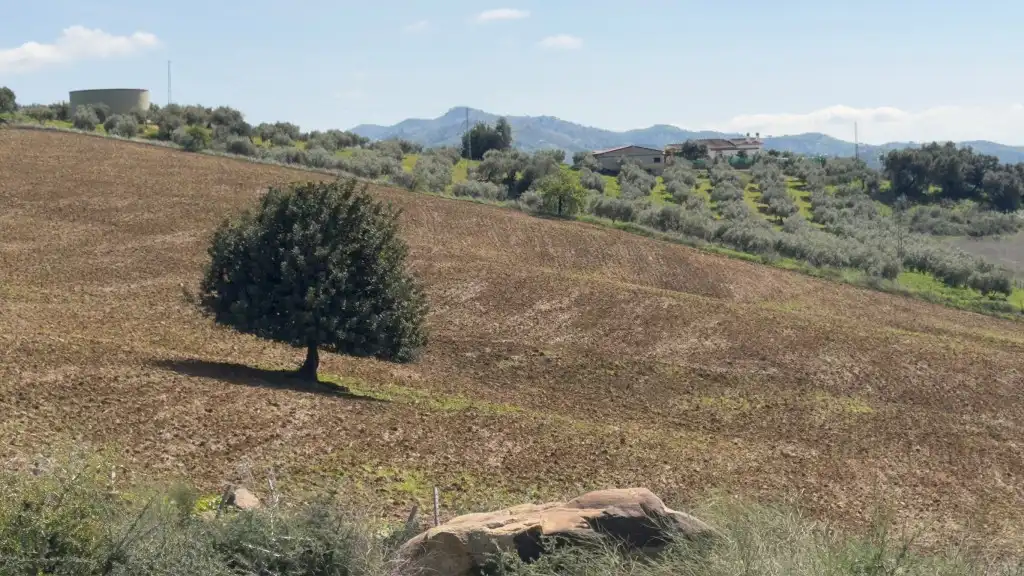 Casa rústica en venta en Álora, imagen 8