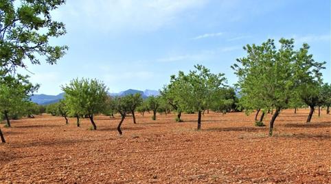 Photo 2 of Land for sale in Binissalem, Illes Balears