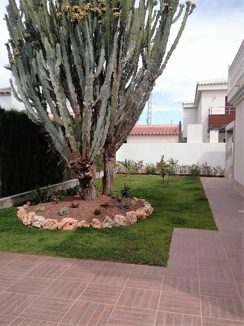 Houses for sale in Cabo Roig