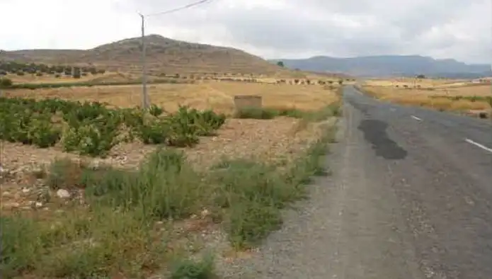 Rustikales Grundstück zum Verkauf in Paraje Torre de Rico, imagen 6
