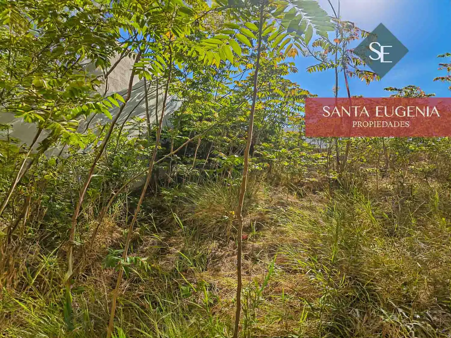Terreno residencial en venta en Maó ciutat, imagen 9
