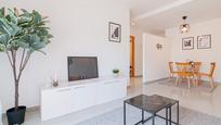 Living room of Flat to rent in San Vicente del Raspeig / Sant Vicent del Raspeig