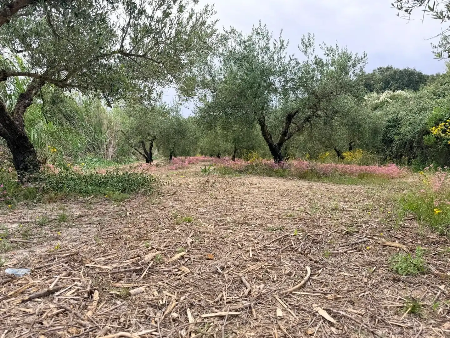 Terreno residenziale in vendita a Albaida, imagen 7