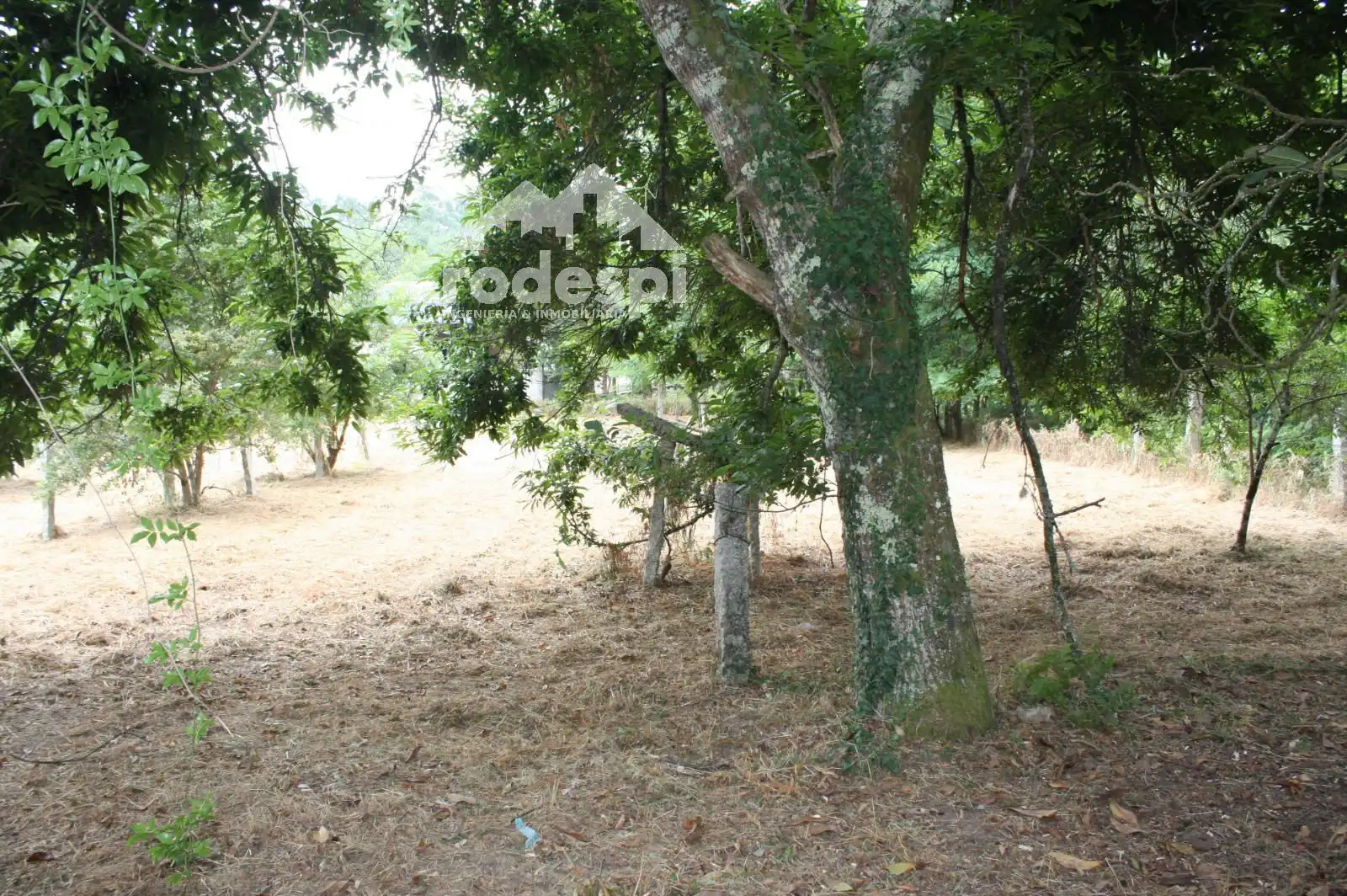 House for sale in Salvaterra de Miño, imagen 12