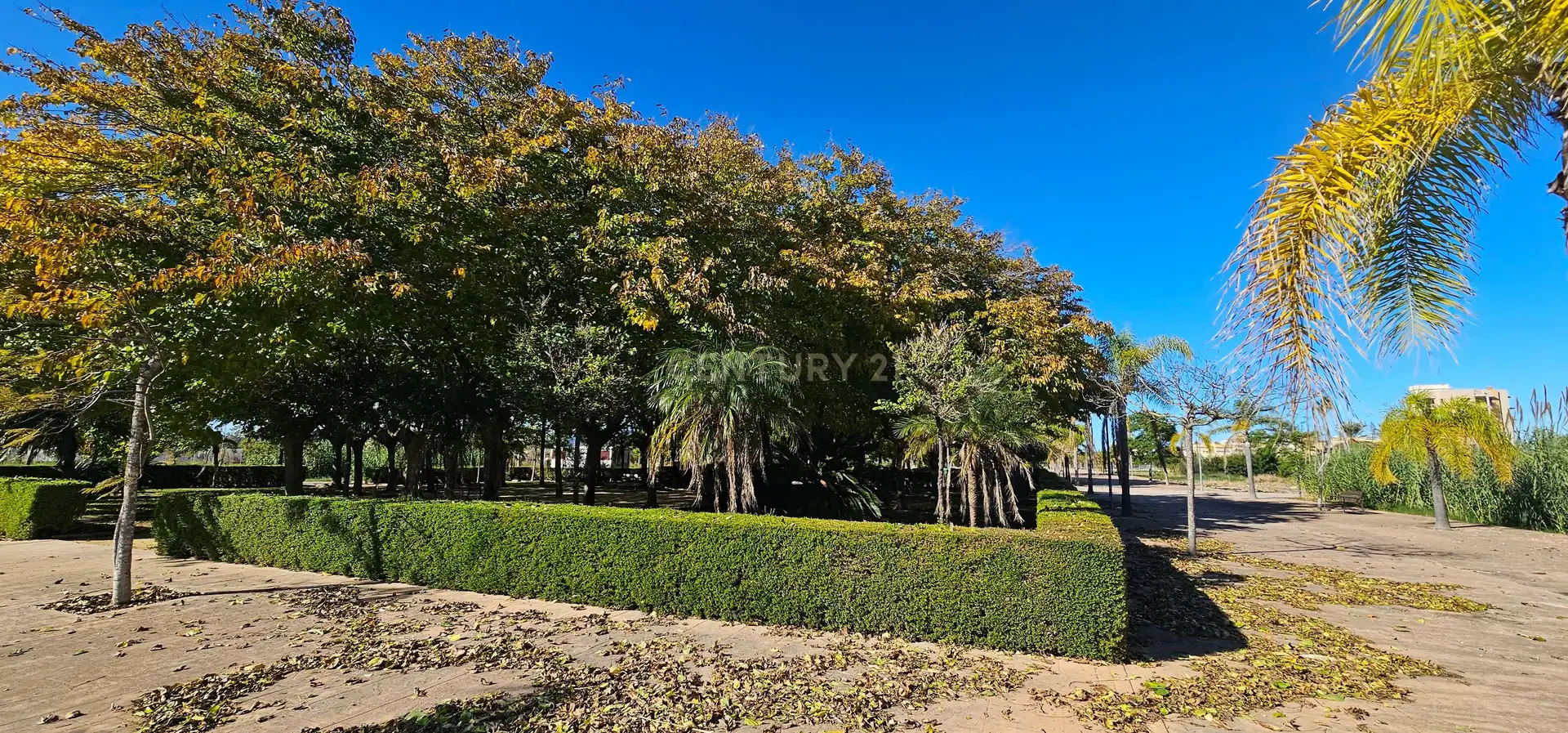 Residencial en venda a Carrer Mestral, 4, Piles, Spain, 4, Piles