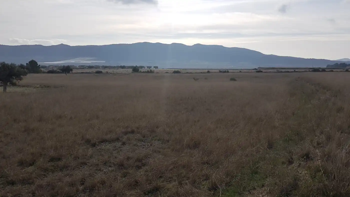 Finca rústica en venda en Salinas