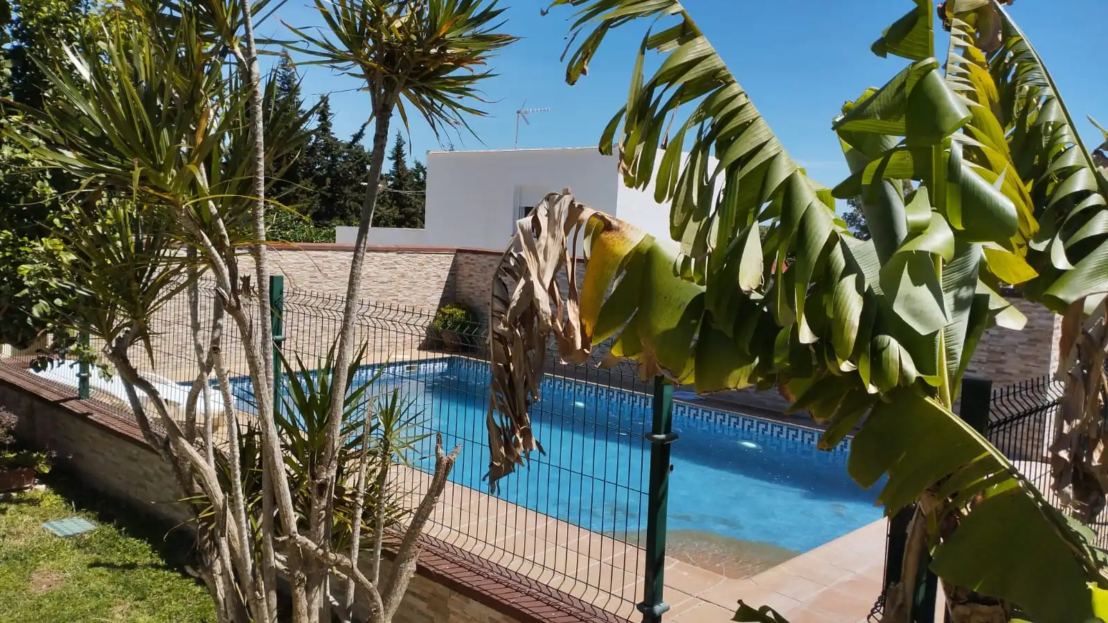 Piscina de Casa o chalet de alquiler en Barbate con Aire acondicionado, Calefacción y Jardín privado