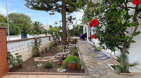 Foto 3 de Casa o chalet en venta en Eucaliptus - Poble Nou del Delta, Amposta