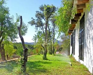 Jardí de Finca rústica de lloguer en Son Servera amb Aire condicionat i Piscina