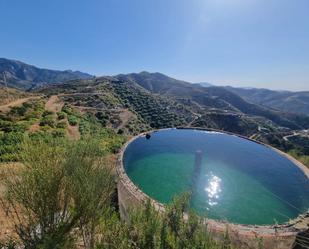 Swimming pool of Land for sale in Nerja