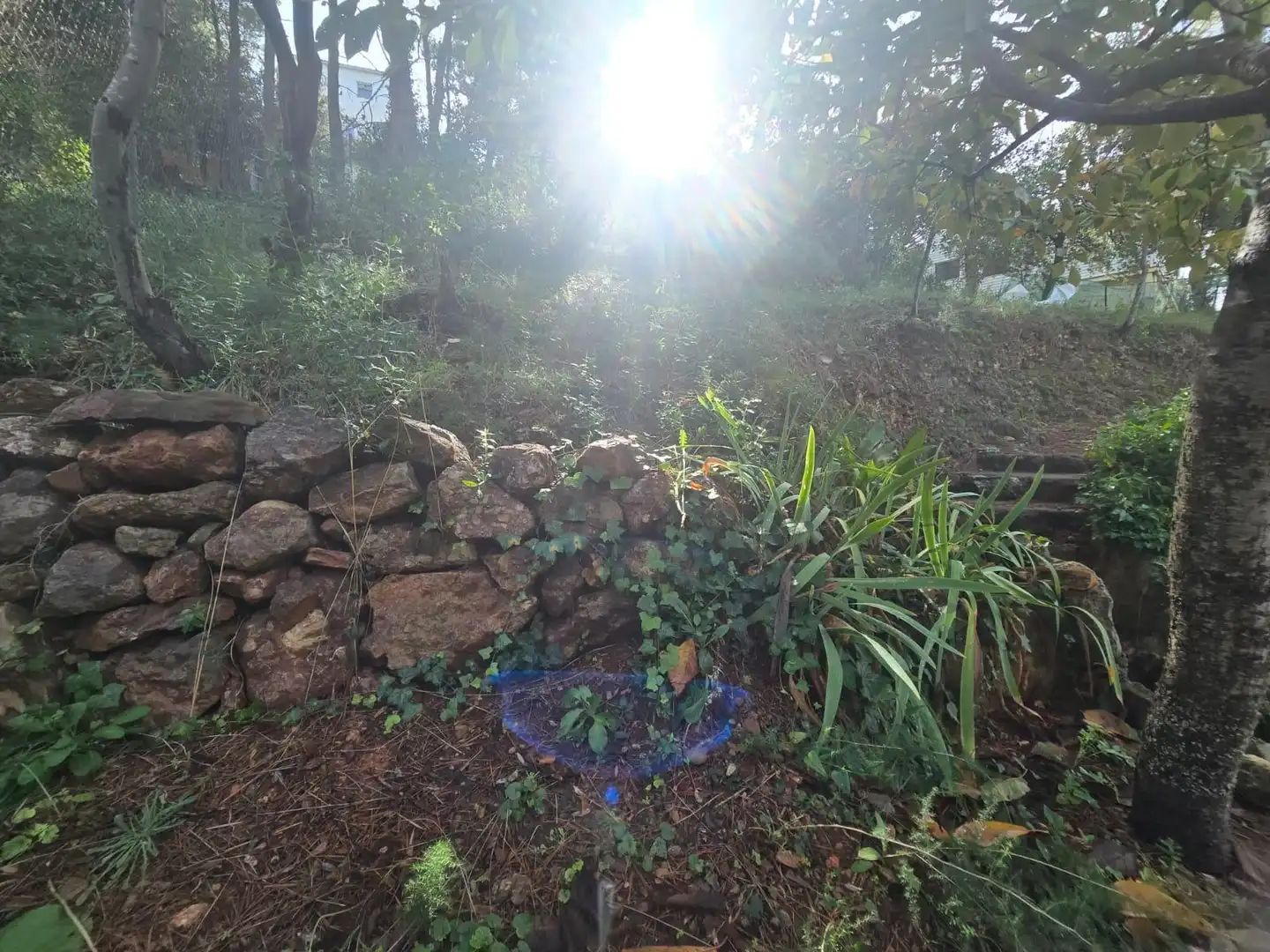 Lands and plots for sale in Airesol, imagen 10