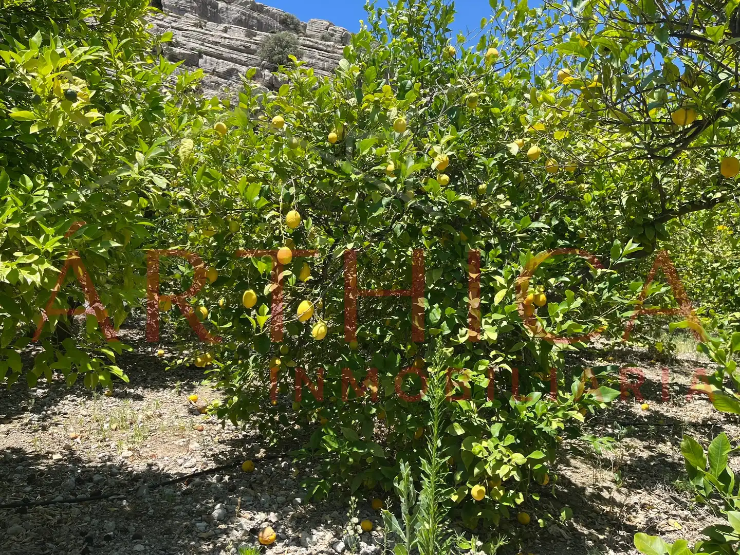 Terreny rústic en venda a Avenida de Andalucia