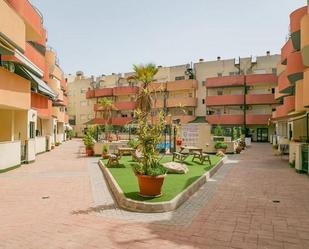 Exterior view of Flat to rent in Almoradí  with Air Conditioner, Heating and Private garden