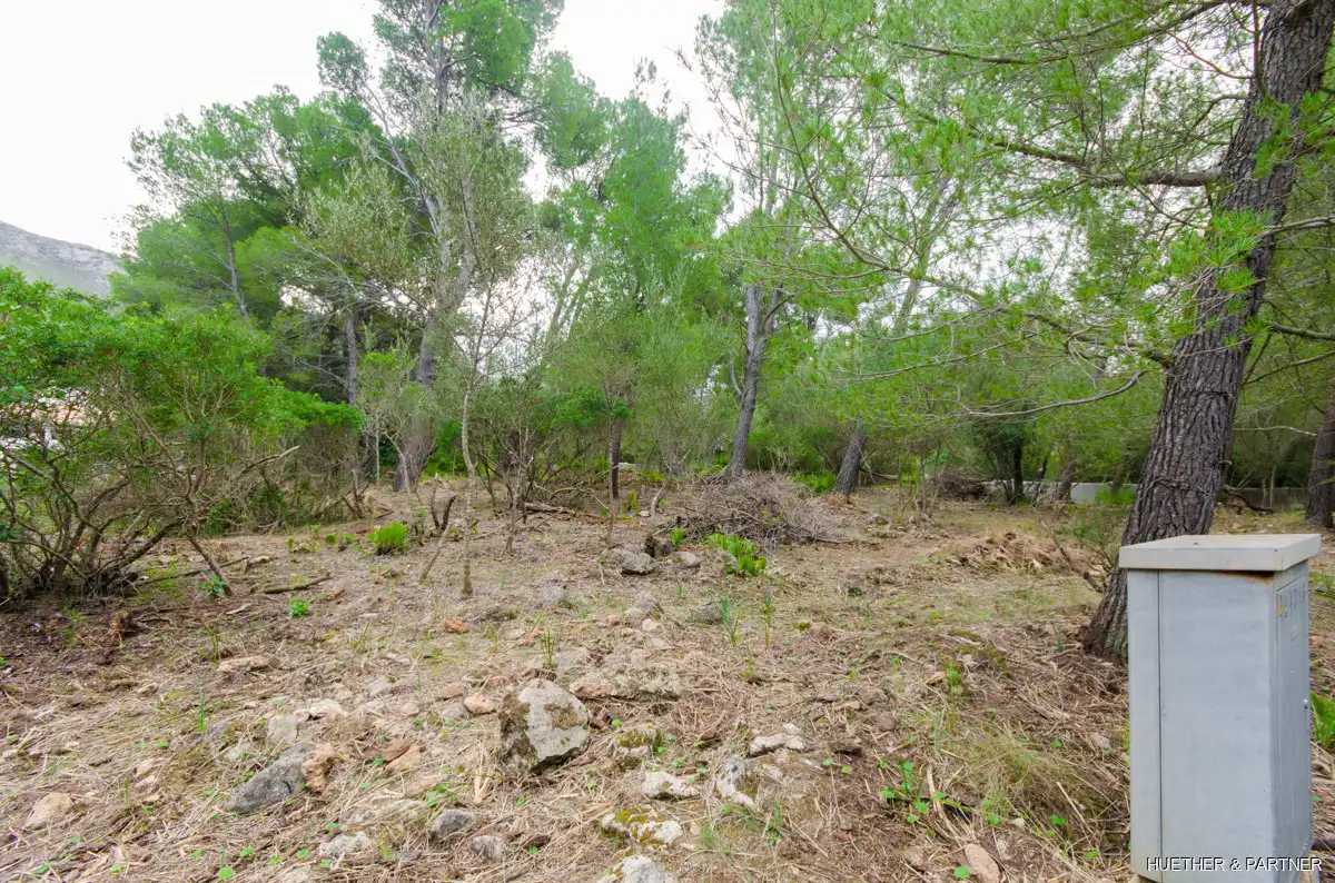 Terreny residencial en venda a Betlem, imagen 2