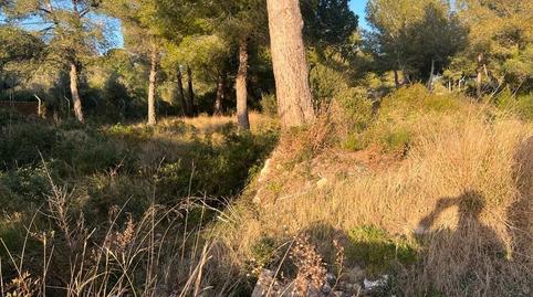 Photo 4 of Land for sale in Carrer Dels Munts, 10, Altafulla, Tarragona