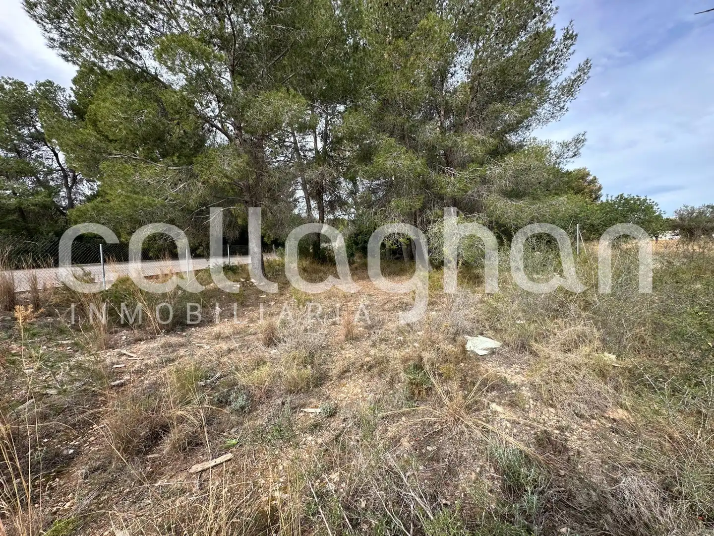 Terreny residencial en venda a Calle ESPARVER, imagen 19