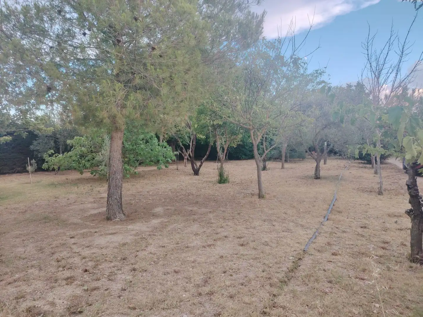 Casa o xalet en venda en El Burgo de Ebro amb Jardí privat i Traster