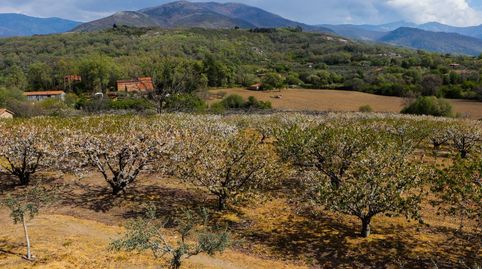 Foto 4 von Country house zum Verkauf in Santiago, Jarandilla de la Vera, Cáceres