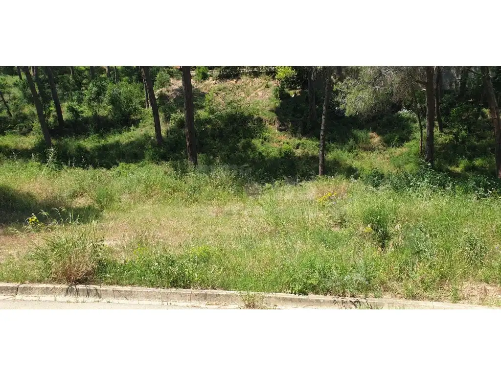 Terrain résidentiel à vendre à Platja de Pals, imagen 6