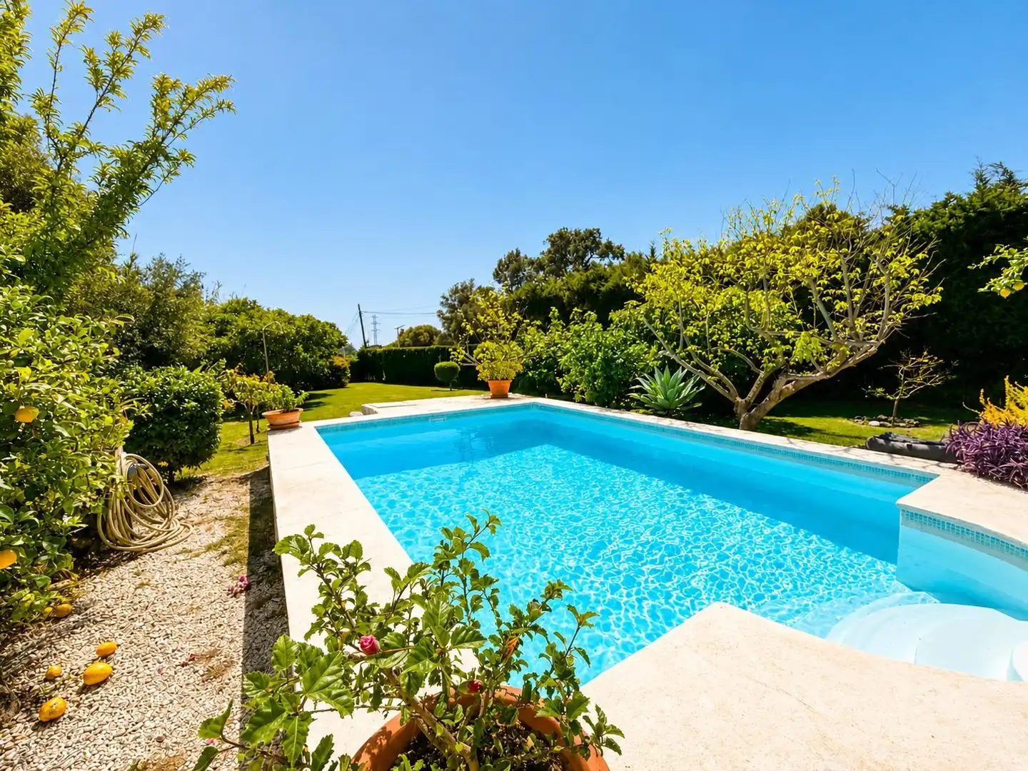 Casa amb piscina en venda a Camino Diseminado Reinoso