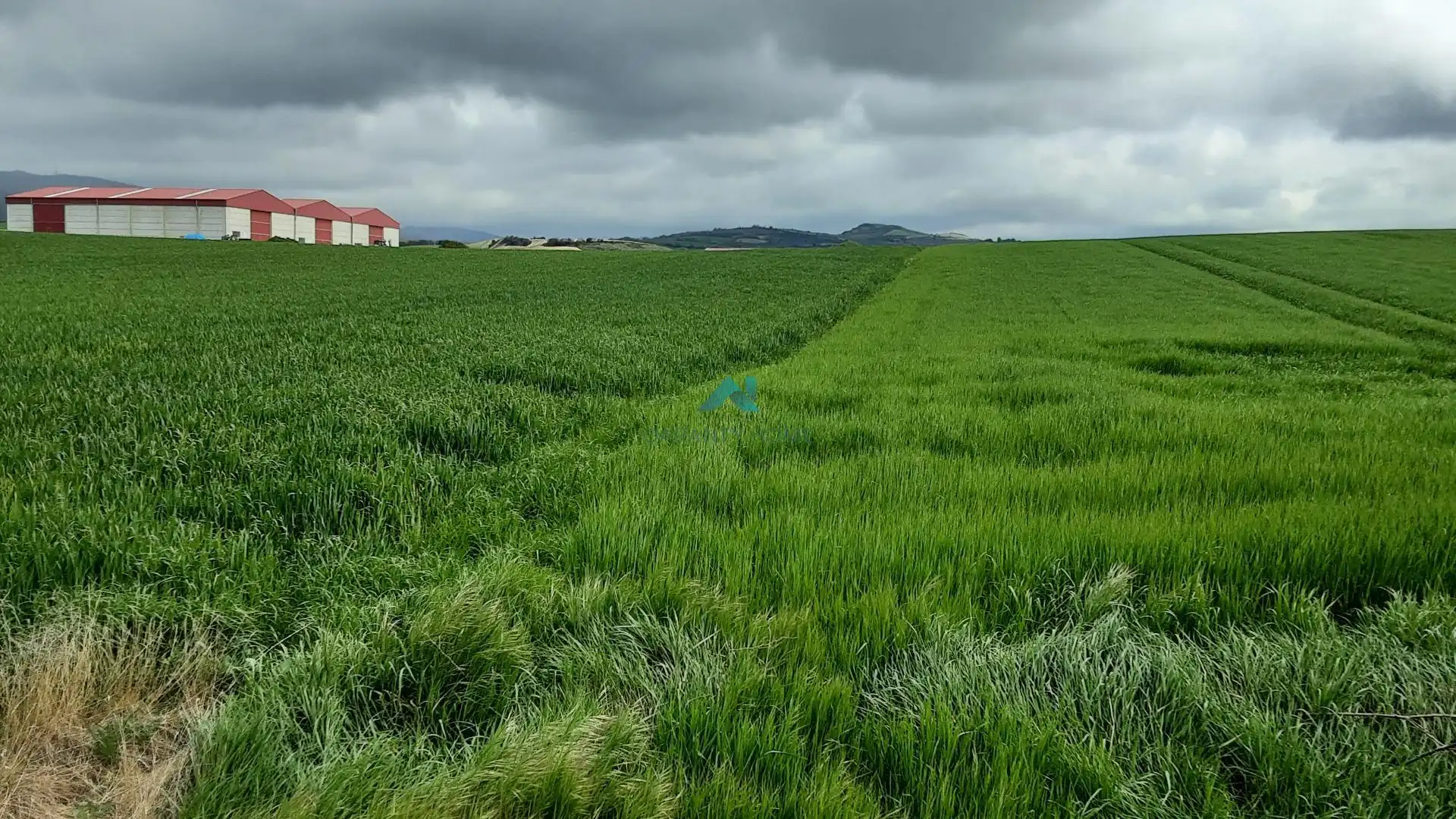 Terreno industrial en venta en La Puebla de Arganzón, imagen 5