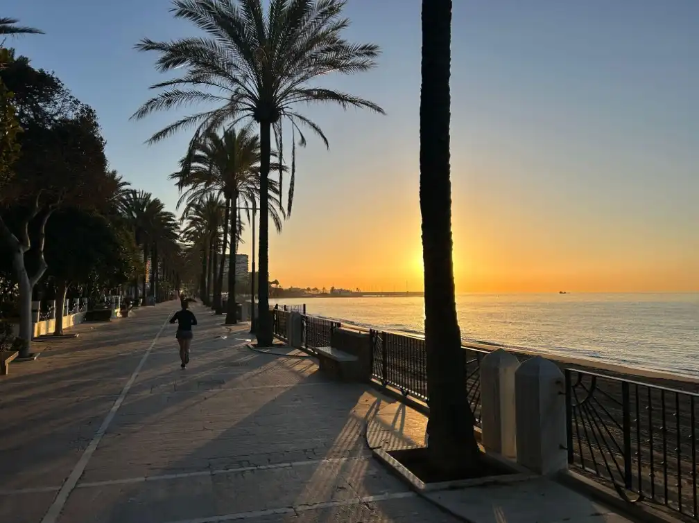 Vista exterior de Piso de alquiler en Marbella con Aire acondicionado