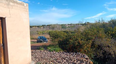 Foto 5 de Finca rústica en venda a Partida Pinella, 230, Avenida Alemania-Italia, Castellón