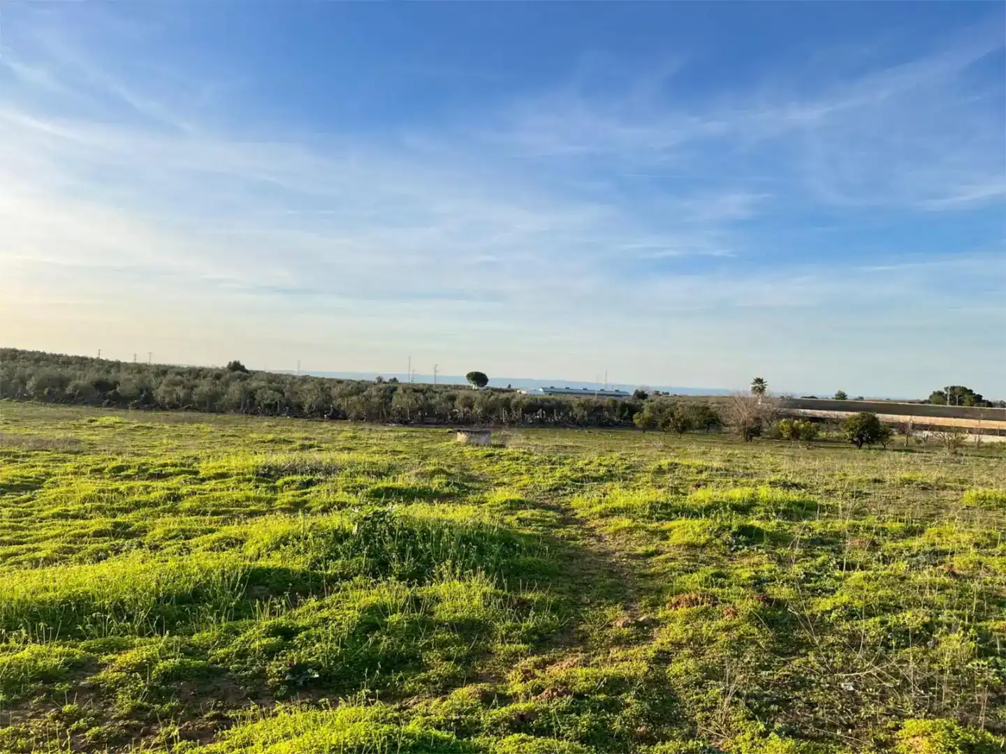 Terreno en venta en Benacazón