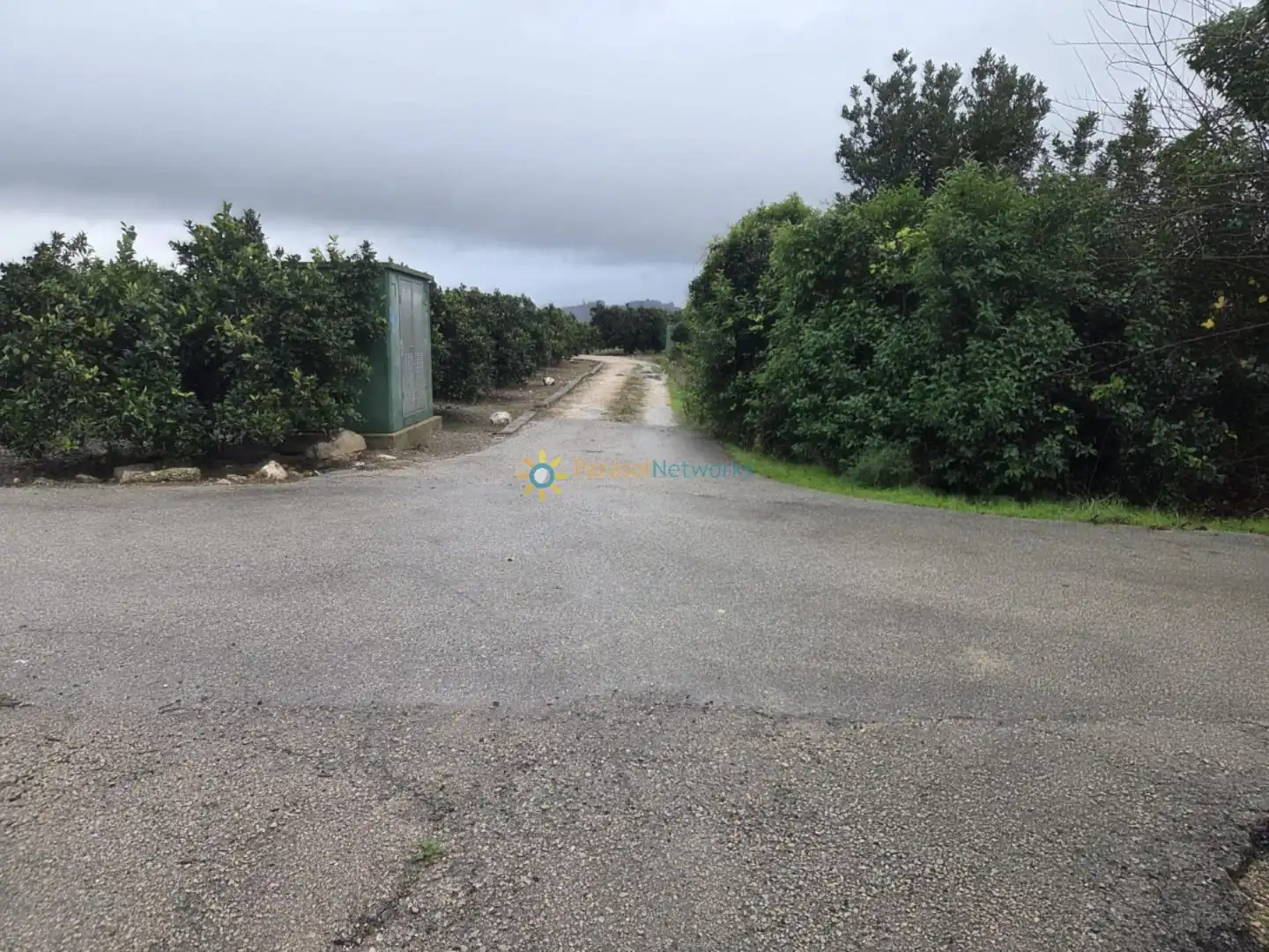 Rural land for sale in Senyera, imagen 6