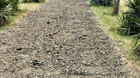 Photo 5 of Country house for sale in Los Santos de Maimona, Badajoz