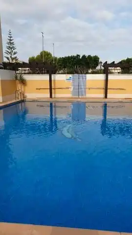Apartamento con piscina en venta en Benijófar