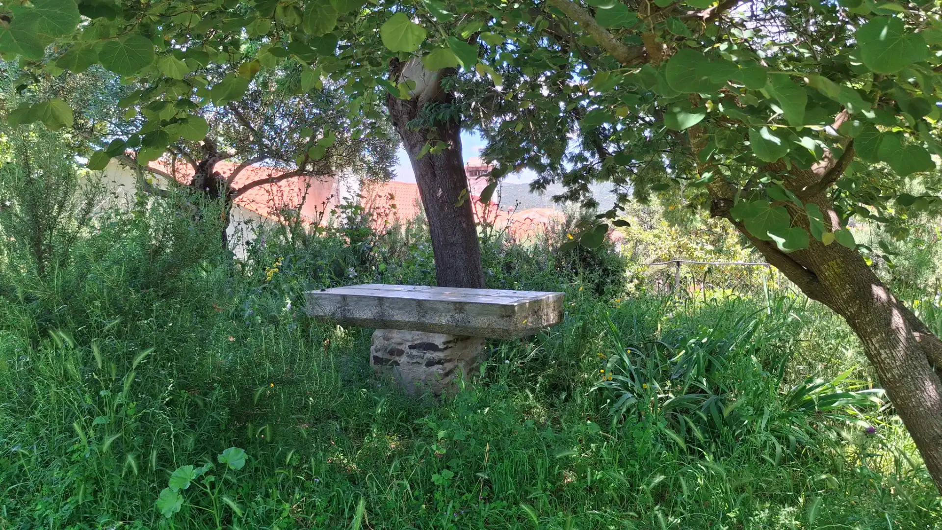 Country house with pool for sale in Trujillo, imagen 33