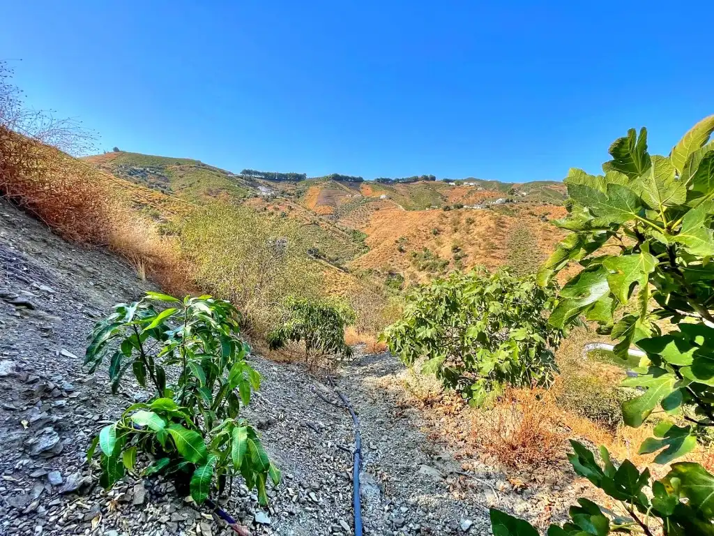 Exterior view of Country homes for sale in El Borge  with Air Conditioner, Private garden and Swimming Pool