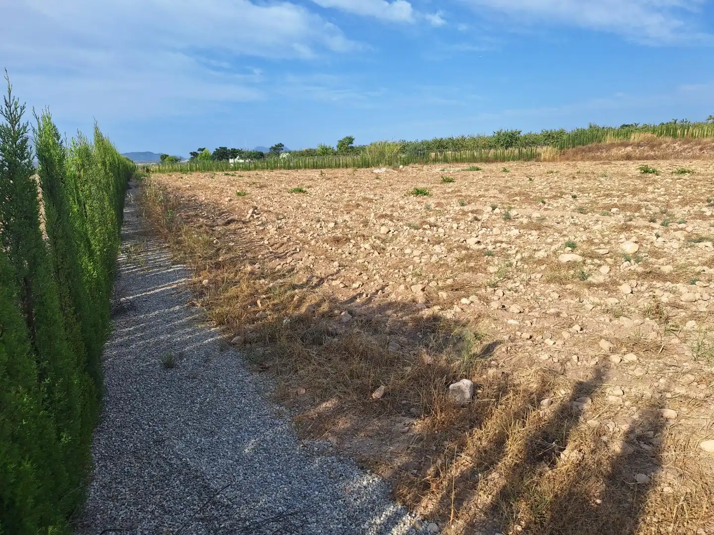 Terreno rústico en venta en El Pinós / Pinoso, imagen 9