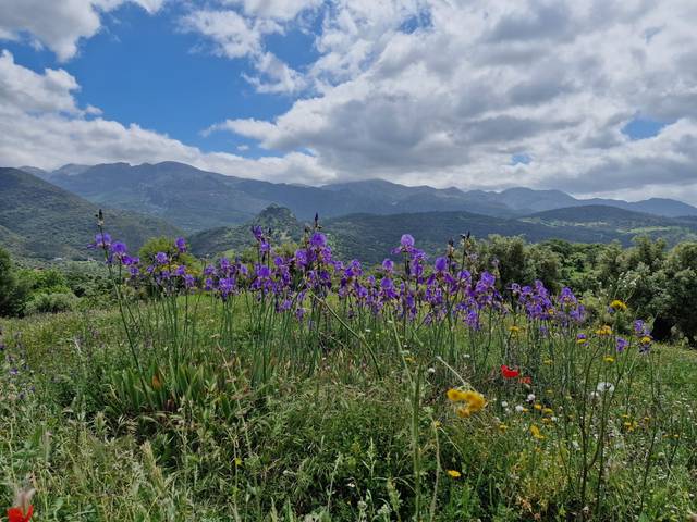 Terreno residencial en Venta en Benaocaz