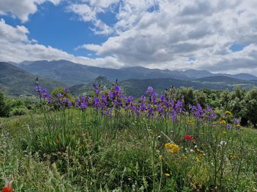Terreno residencial en venta en Benaocaz