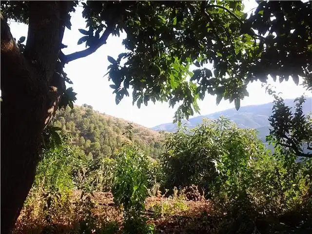 Terreni e lotti in vendita a Almuñecar centro
