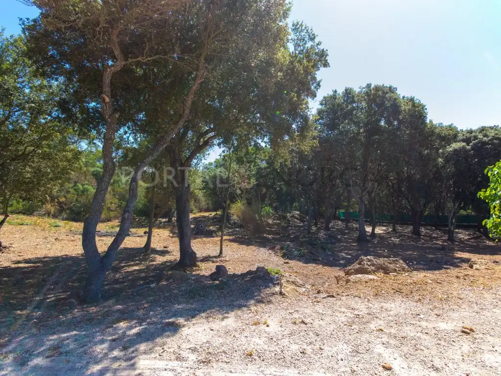 Casa rústica con piscina en venta en Es Mercadal poble, imagen 28