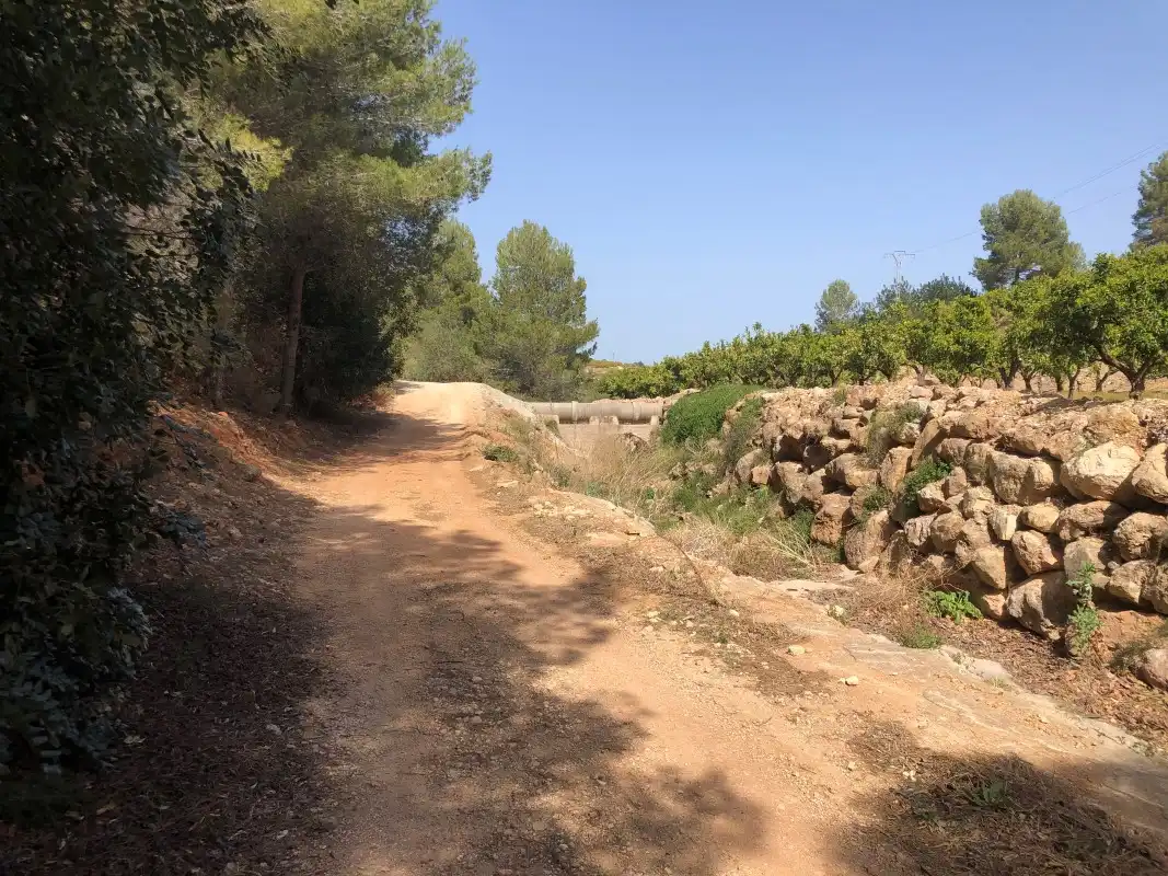 Terrain rustique à vendre à Plaça Poligono 11 15, imagen 34