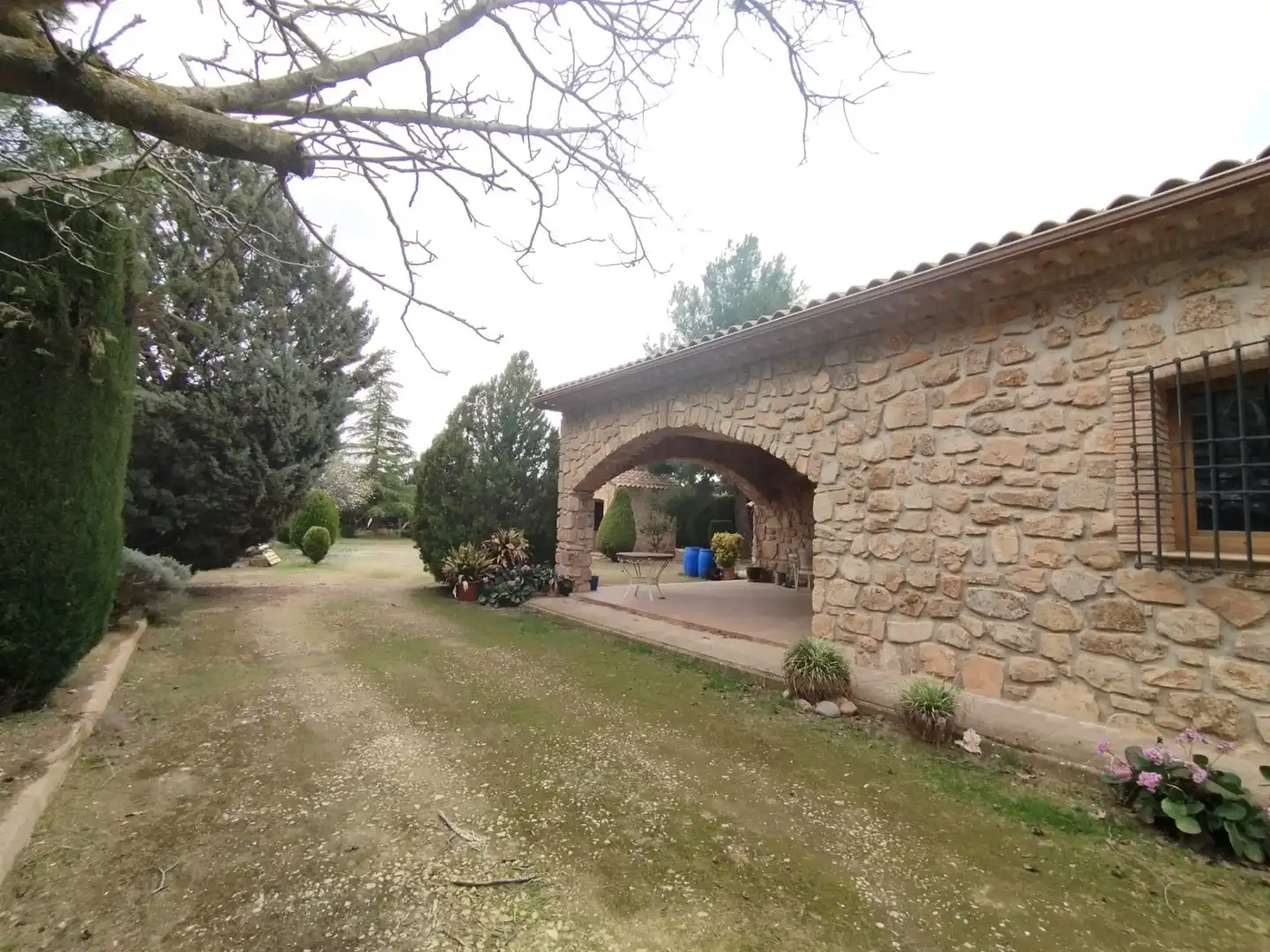 Rural land for sale in Carretera Canal, imagen 5