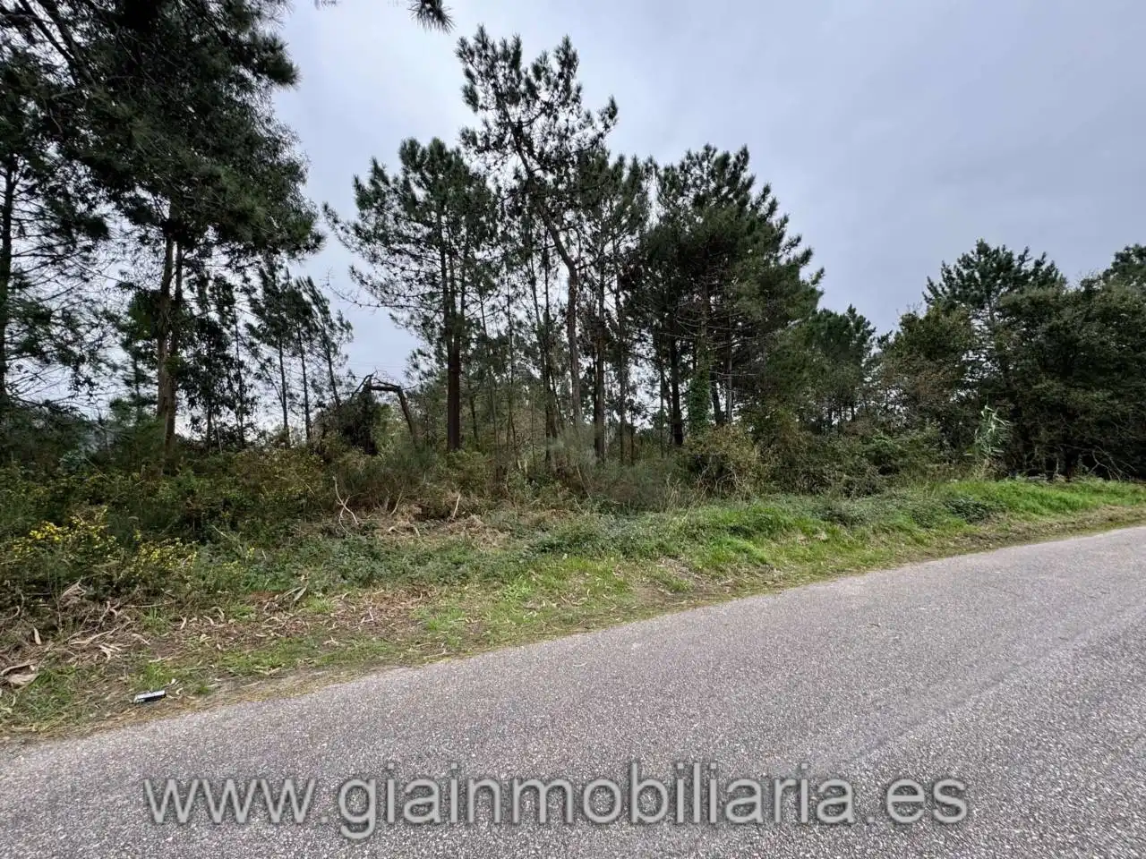 Lands and plots for sale in Avenida Reverendo José María Pérez Alonso 1, imagen 15