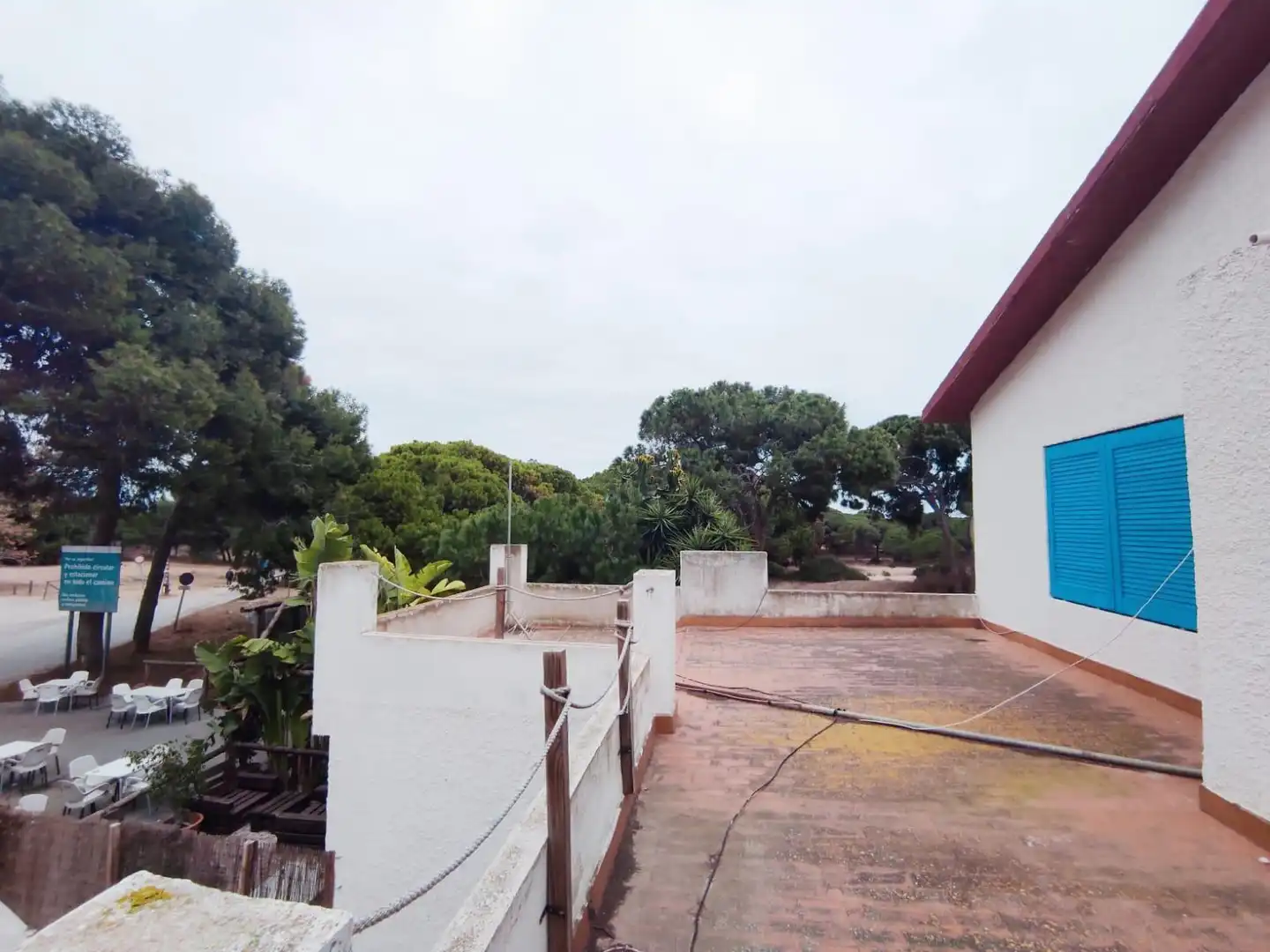 Jardí de Casa o xalet en venda en Elche / Elx amb Terrassa